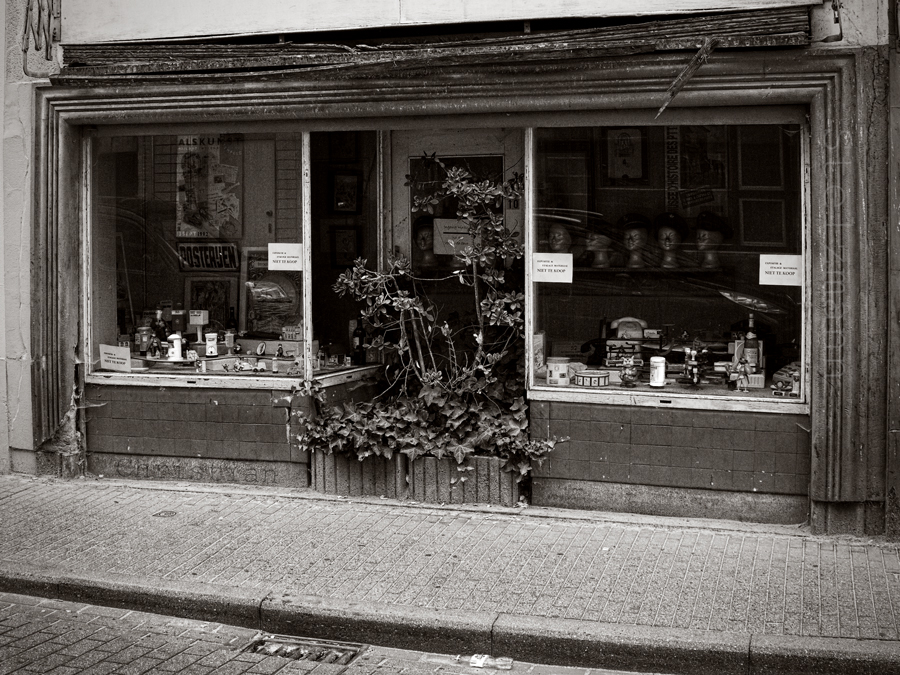 Urban Gardening Gent