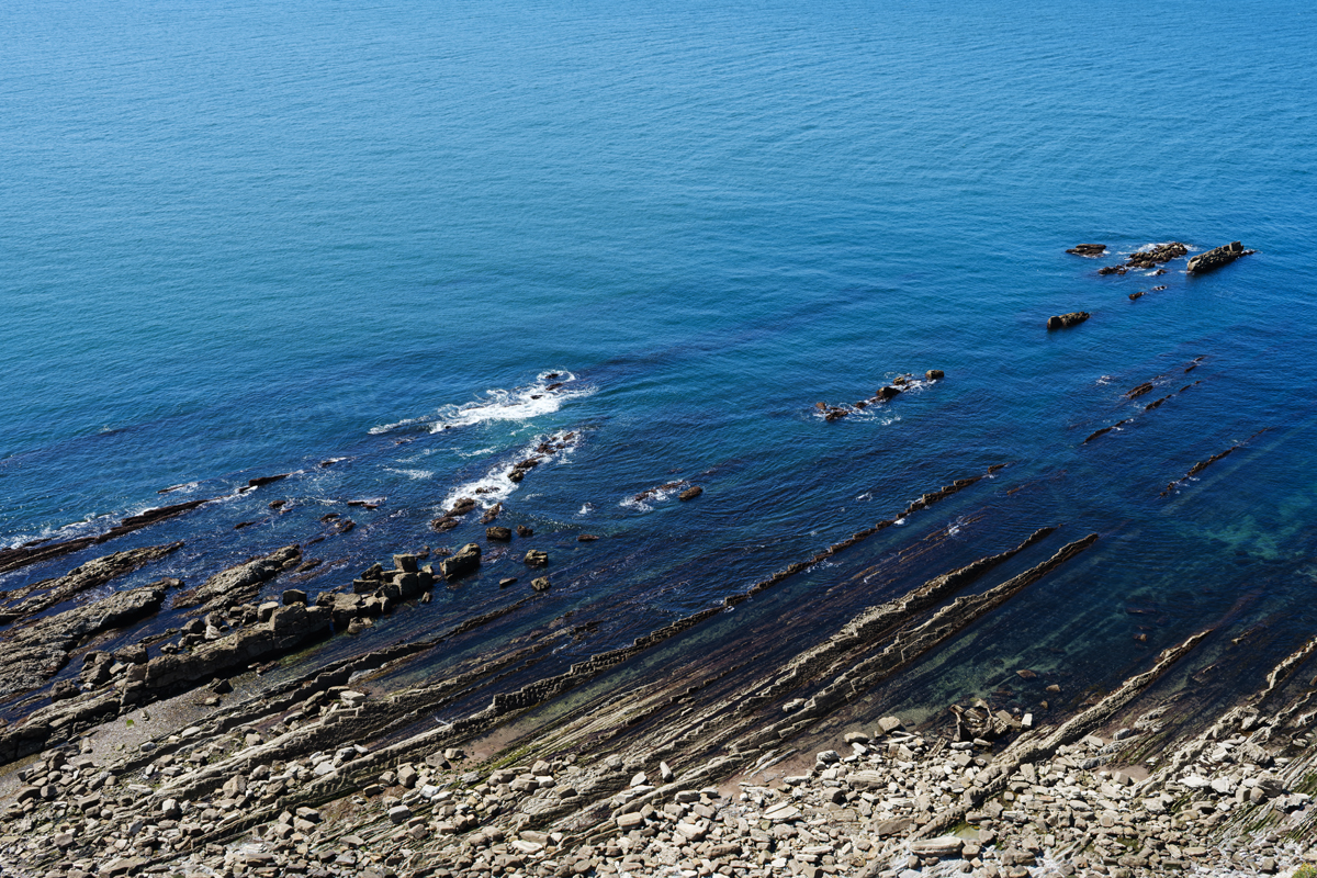 Flysch