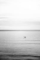 Baltic Sea