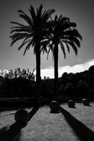 Barcelona 1