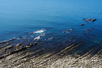 Flysch