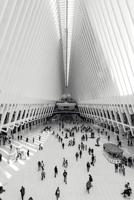 Oculus